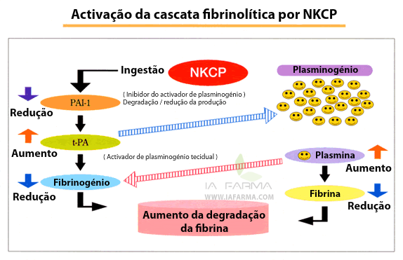 Activação NATTO NKCP