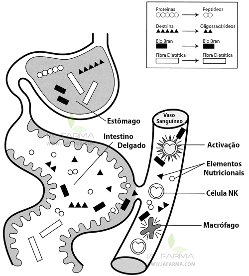 Digestão BioBran